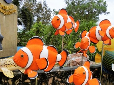 Rayong Aquarium Eingangsbereich in Ban Phe Thailand