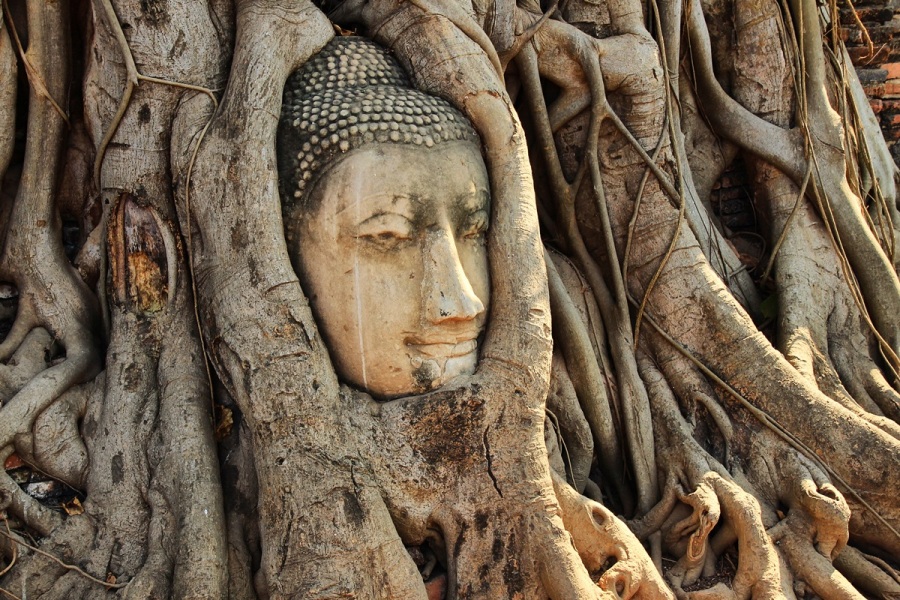 Wat Maha That Thailand