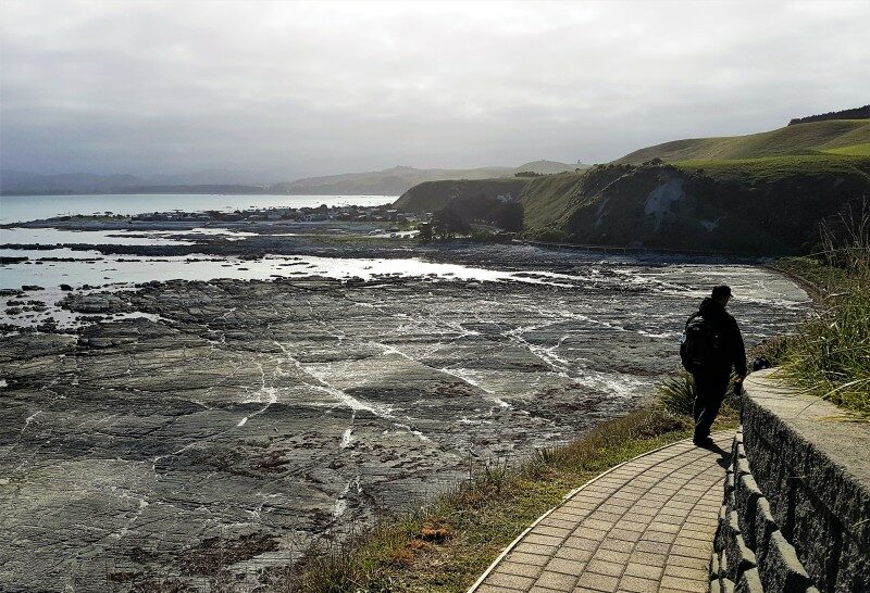 Kaikoura Peninsula Walkway