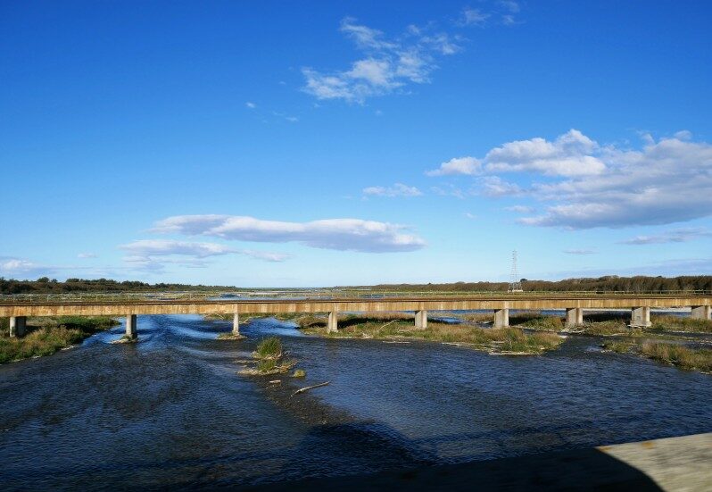 Timaru Otipua Wetlands Walk