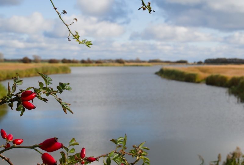 Fehmarn Fluss Ausflug von Heiligenhafen mit Kindern