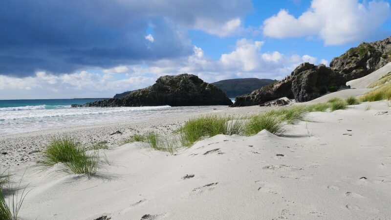 Big Beach Aramoana in Neuseeland Aramoana Big beach Neuseeland