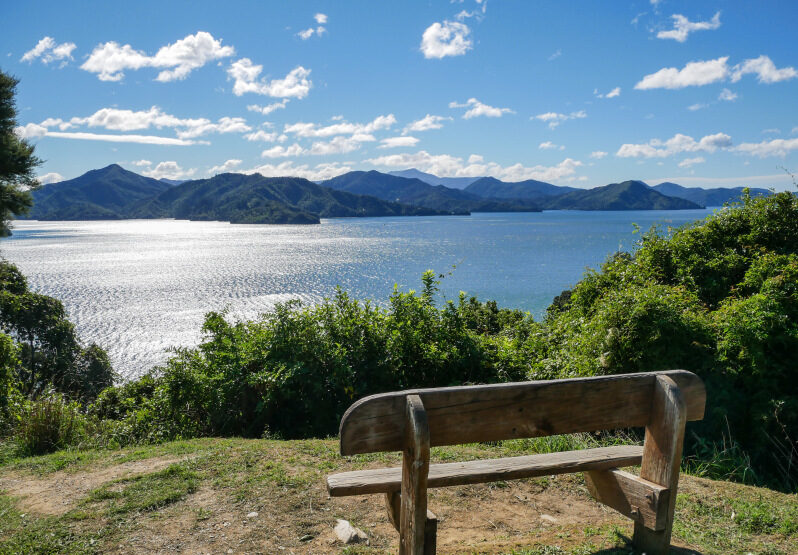 Wandern in den Marlborough Sounds in Neuseeland
