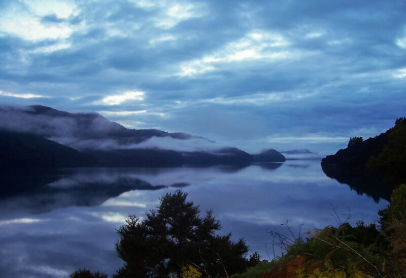 Magischer Landstrich an den Marlborough Sounds am Abend in Neuseeland