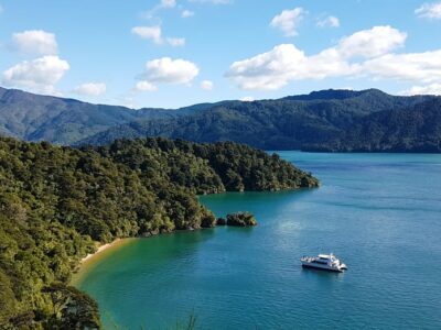 Ein Boot in den Marlborough Sounds in Neuseeland