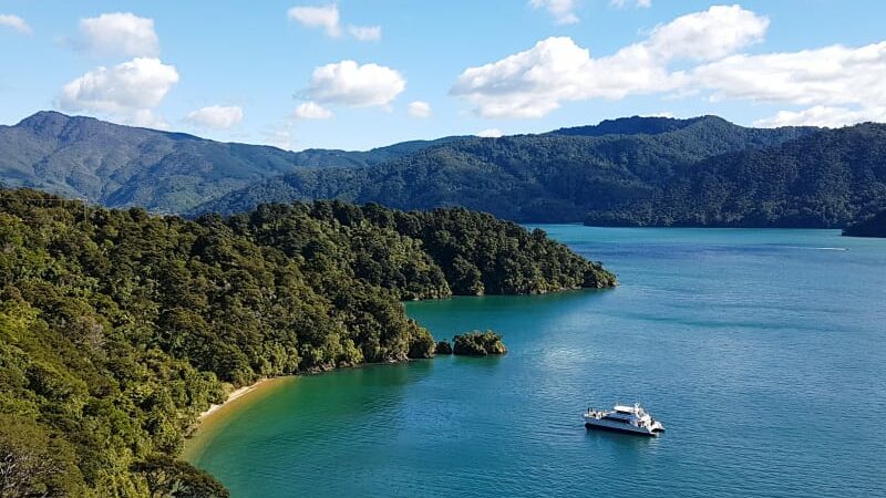 Ein Boot in den Marlborough Sounds in Neuseeland