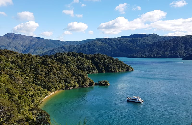 Ein Boot in den Marlborough Sounds in Neuseeland
