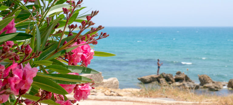 Sciacca in Sizilien