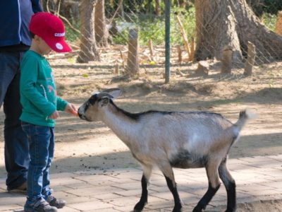 Tierpark Essehof