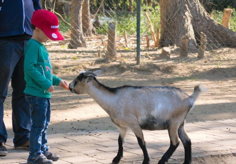 Tierpark Essehof
