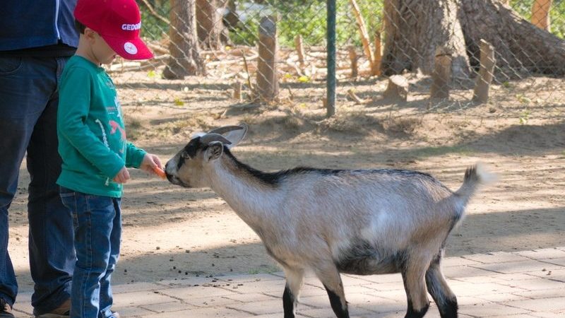 Tierpark Essehof