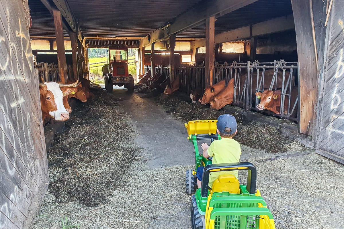 Kurzurlaub mit Kindern auf dem Bauernhof
