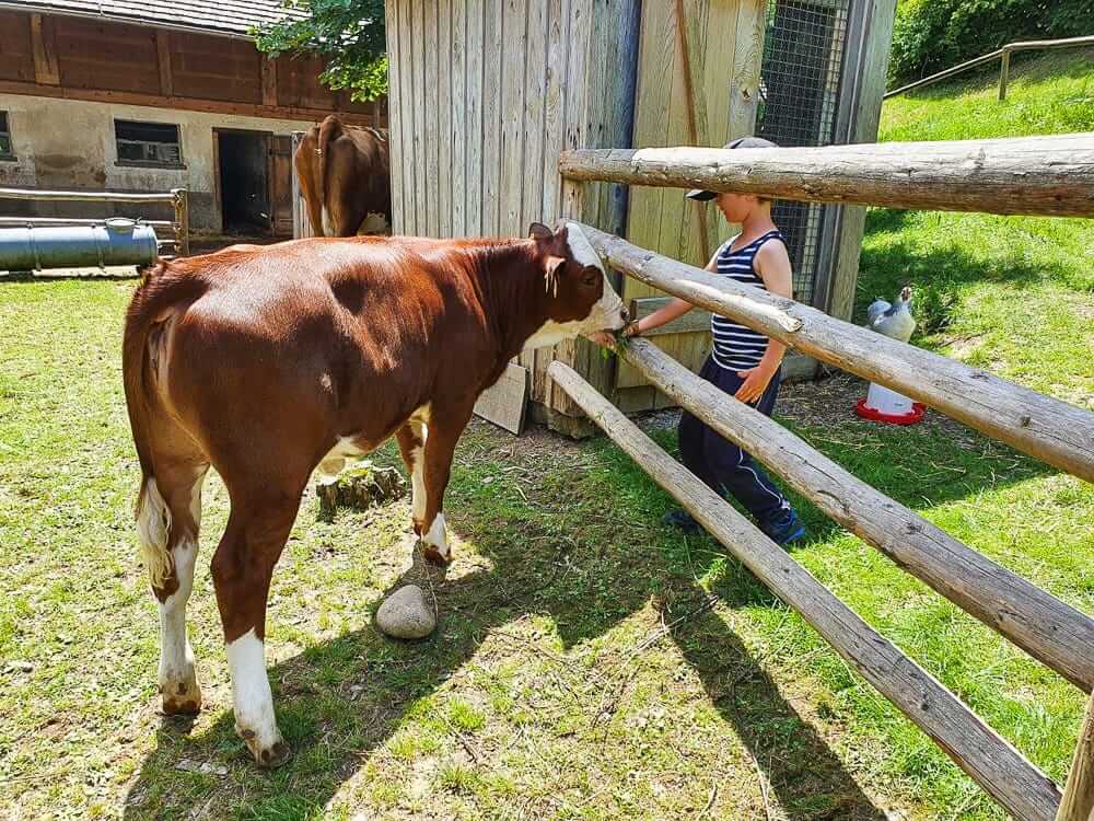 Familiencamping auf dem Bauernhof