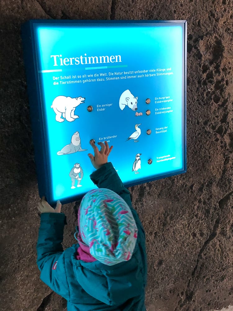 Interaktion im Zoo am Meer