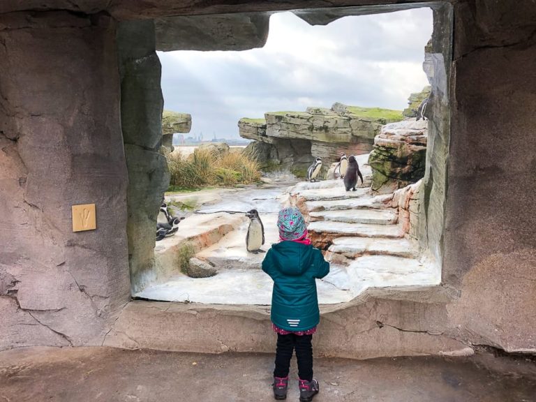 Besuch im Zoo am Meer einem Zoo an der Nordsee mit Kindern