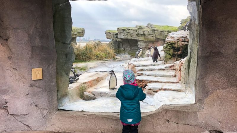 Ausflugsziele und Sehenswürdigkeiten in Bremerhaven mit Kindern