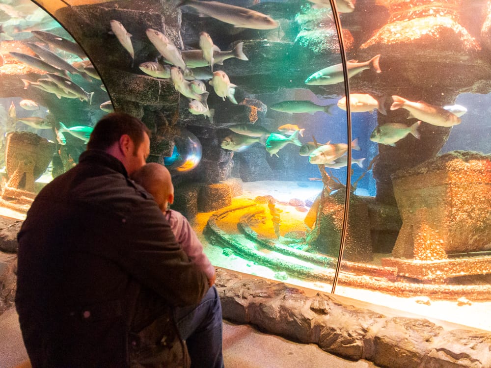 Besuch im SEA LIFE ist eine tolle Indooraktivität bei schlechtem Wetter