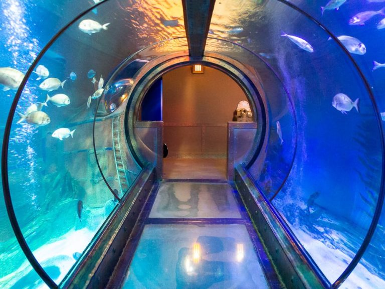Sea Life Königswinter