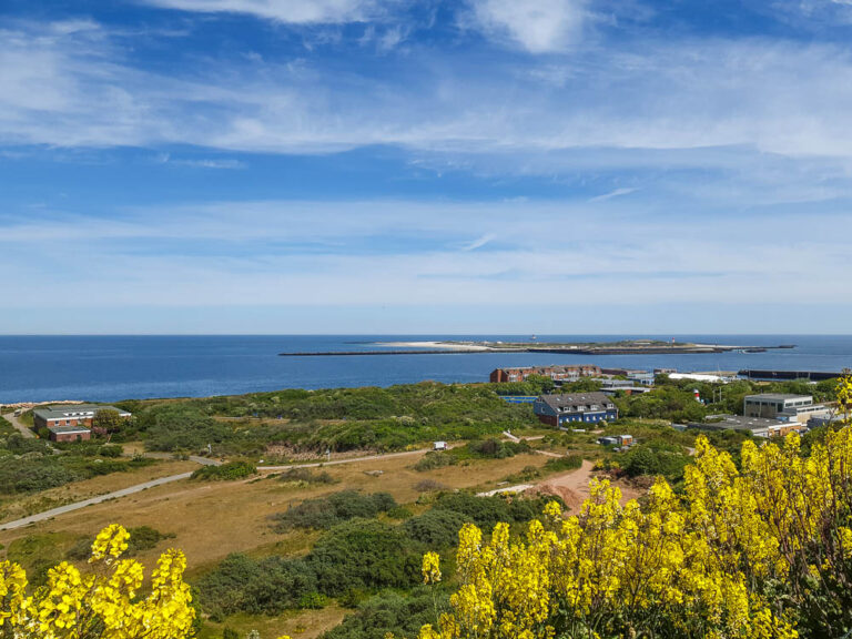 Kurzurlaub auf Helgoland mit Kindern Ausblick auf die Düne