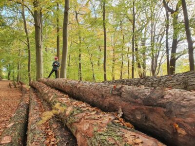 Bayerischer Wald mit Kindern