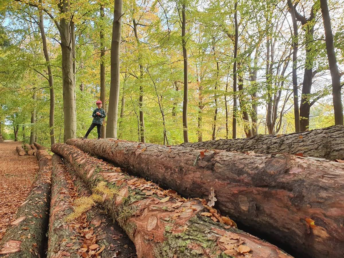 urlaub mit kindern bayerischer wald