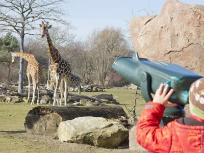 Zoo-Leipzig-Kombiticket für den Zoo Leipzig