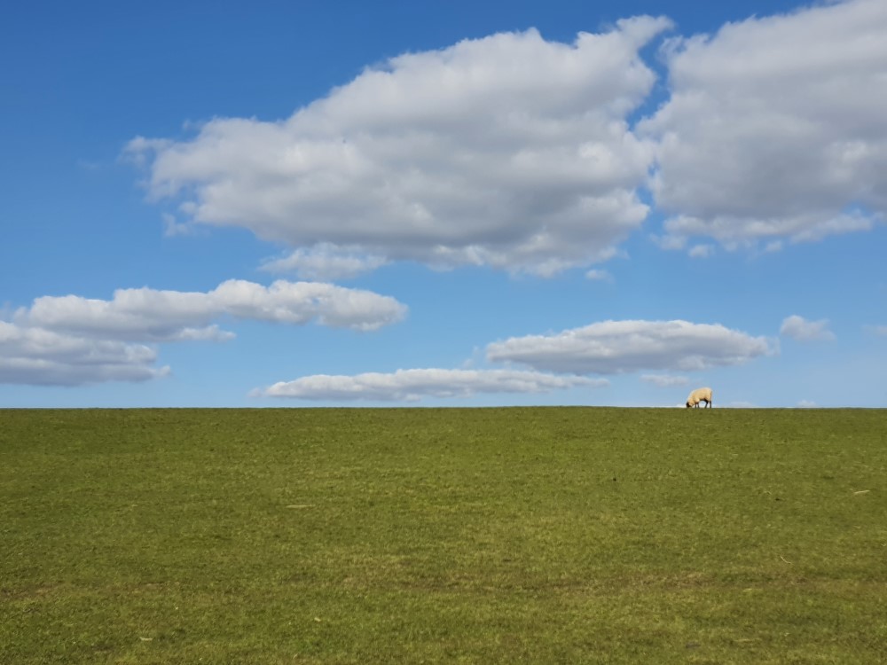 Beste Reisezeit für Familienurlaub an der Nordsee