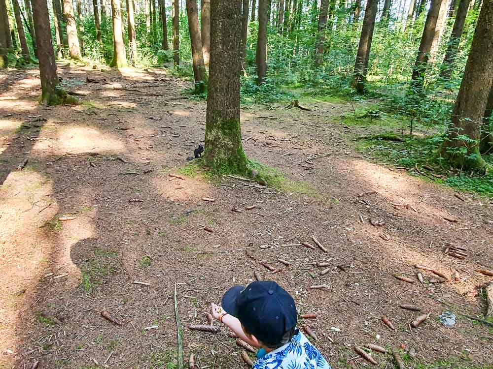 Eichhörnchenwald Fischen im Allgäu mit Kindern