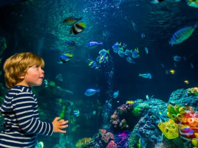 Ein Kind an einem der SEA LIFE Standorte Deutschland (c) SEA LIFE