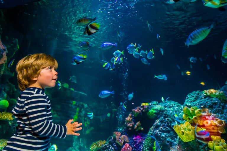 Ein Kind an einem der SEA LIFE Standorte Deutschland (c) SEA LIFE