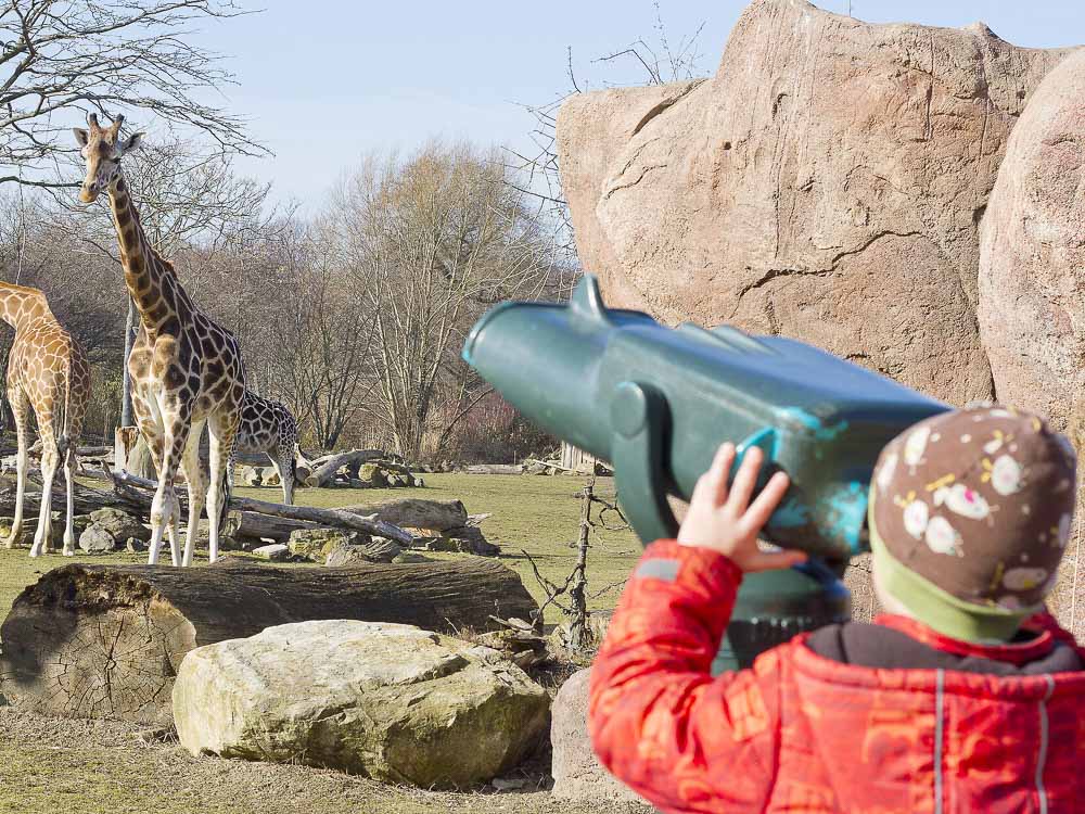 Zoobesuch in Leipzig in Sachsen mit Kindern