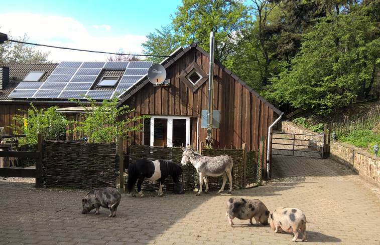 Urlaub in der Natur auf einem Bauernhof