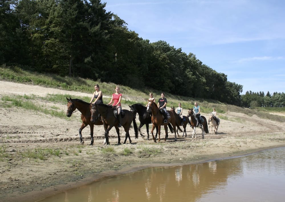 Reiterferien auf dem Geesthof