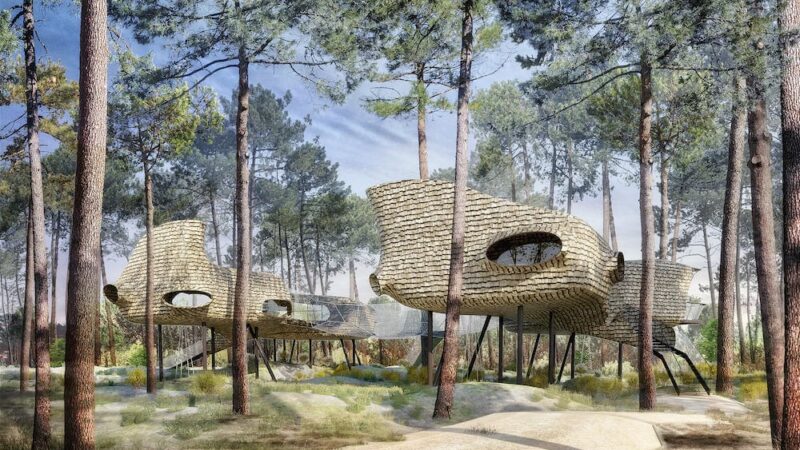 Baumhäuser im Center Parcs Les Landes de Gascogne in Frankreich © Groupe PVCP