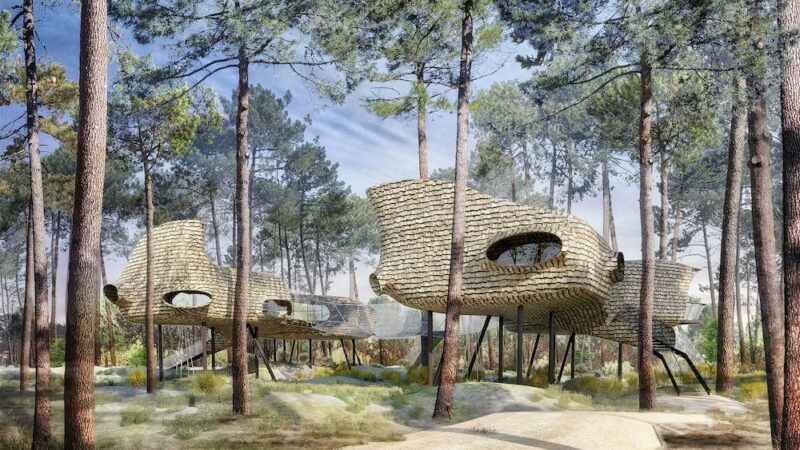 Center Parcs Les Landes de Gascogne in Frankreich © Groupe PVCP Baumhäuser im Center Parcs Les Landes de Gascogne in Frankreich © Groupe PVCP