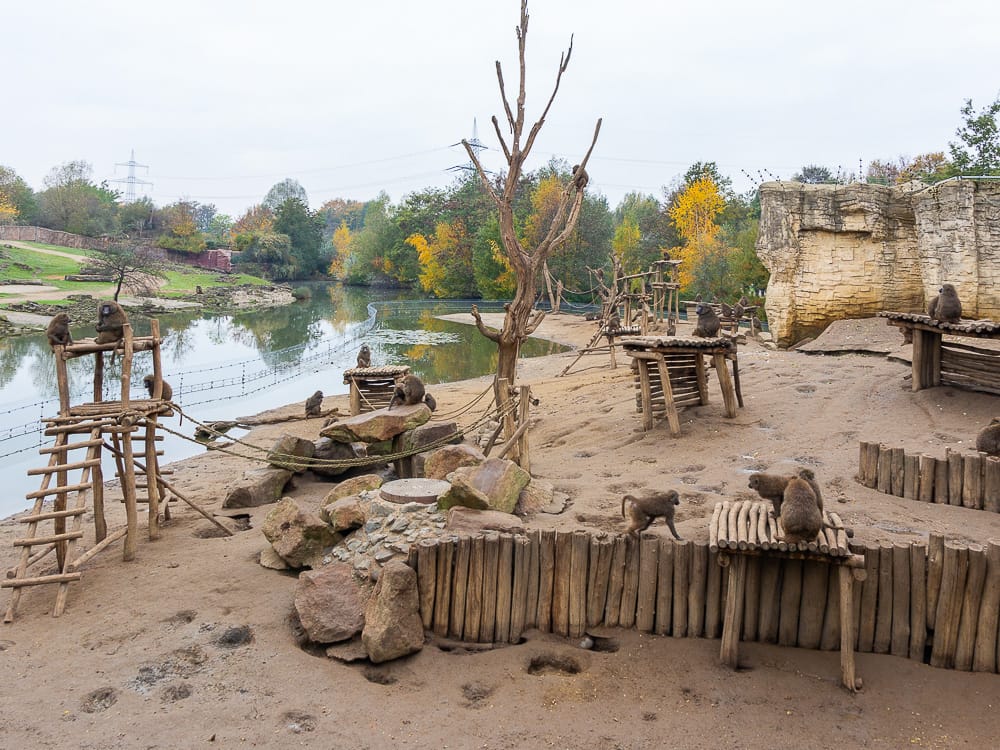 Zoom Erlebniswelt als Ausflugsziel in NRW mit Kindern