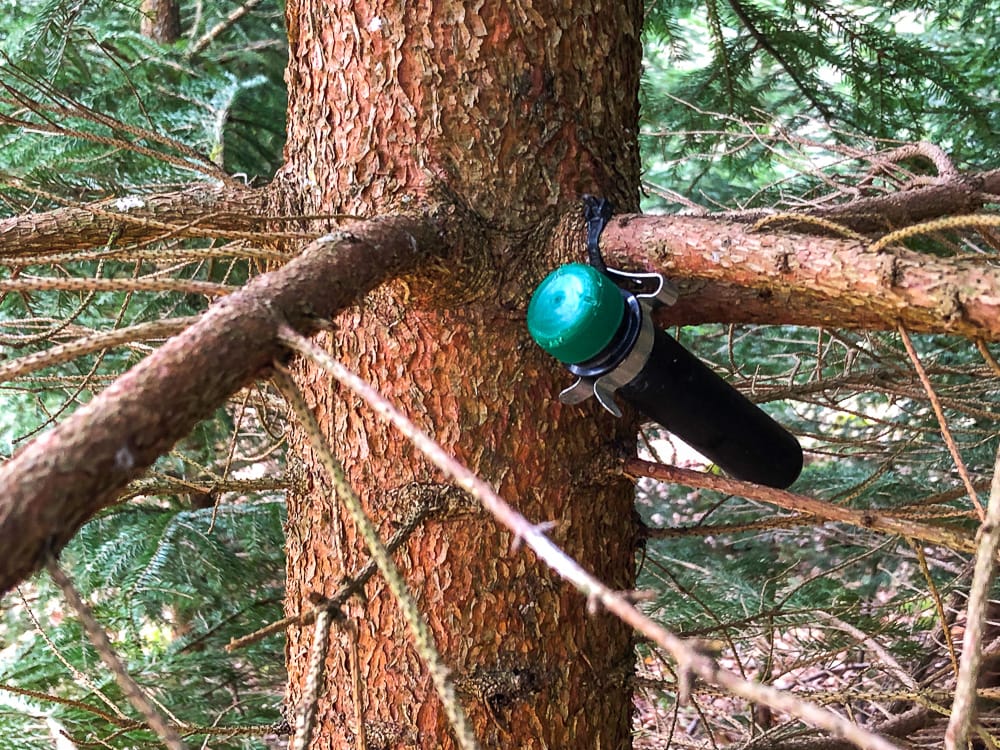 Ein Petling für Geocaching Anfänger oder Geocaching mit Kindern