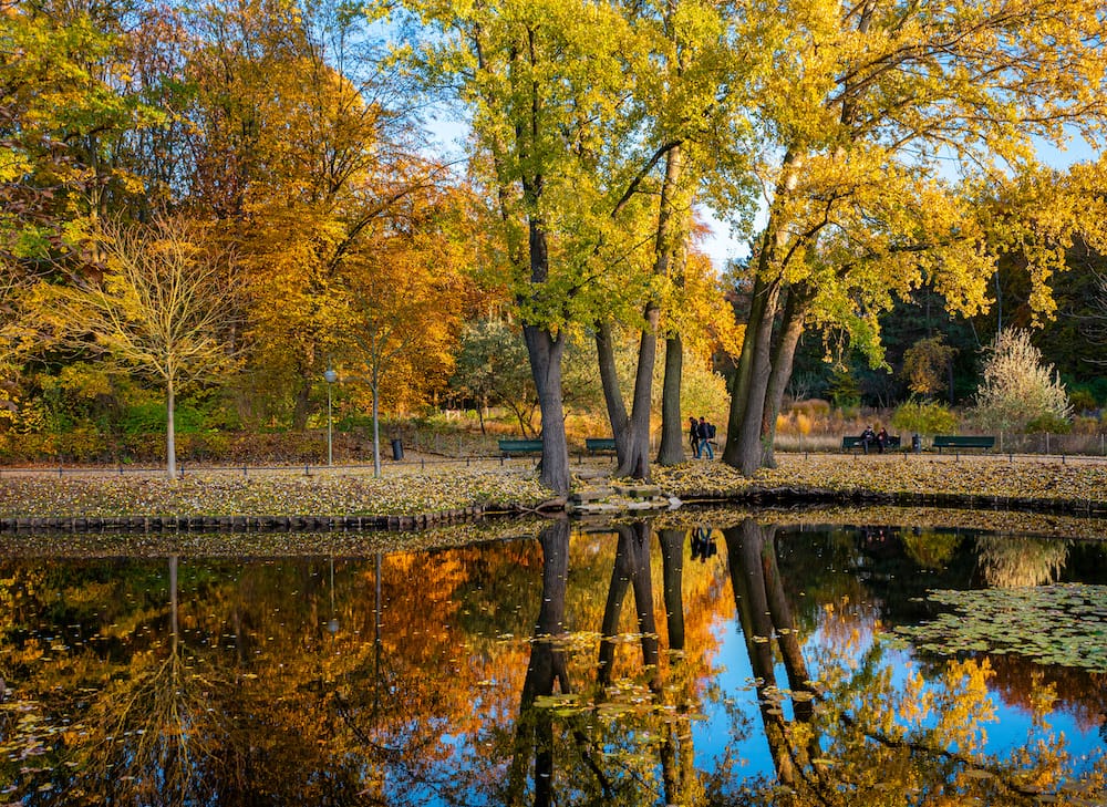 Spaziergang zum Berliner Tiergarten im Herbst vom Familienhotel in Berlin