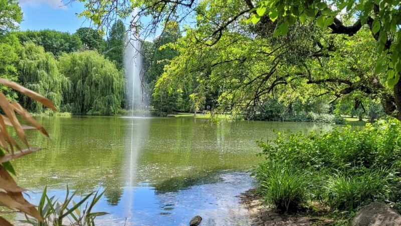 Mannheim mit Kindern Herzogenriedpark Fontäne Mannheim mit Kindern Herzogenriedpark Fontäne