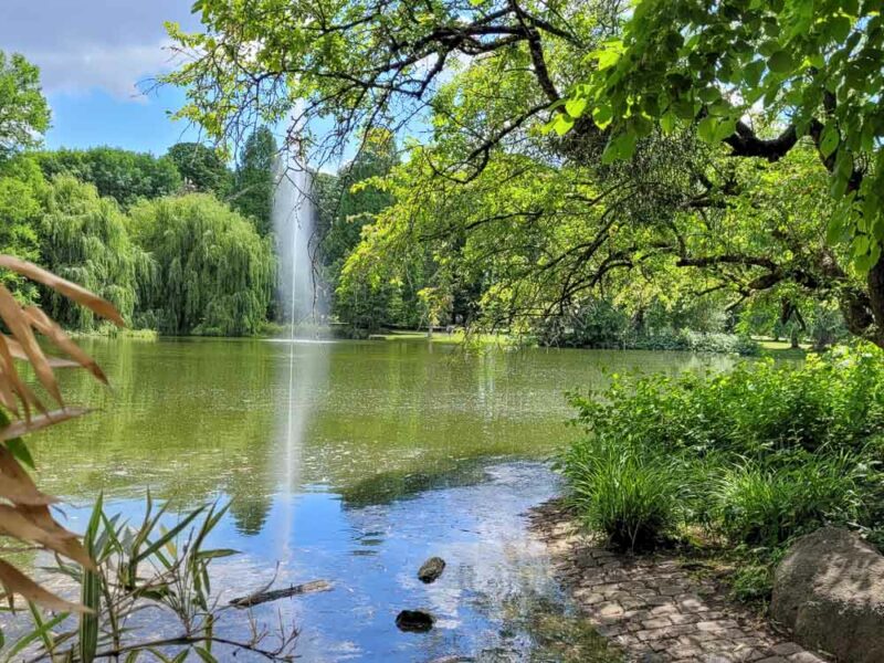 Mannheim mit Kindern Herzogenriedpark Fontäne