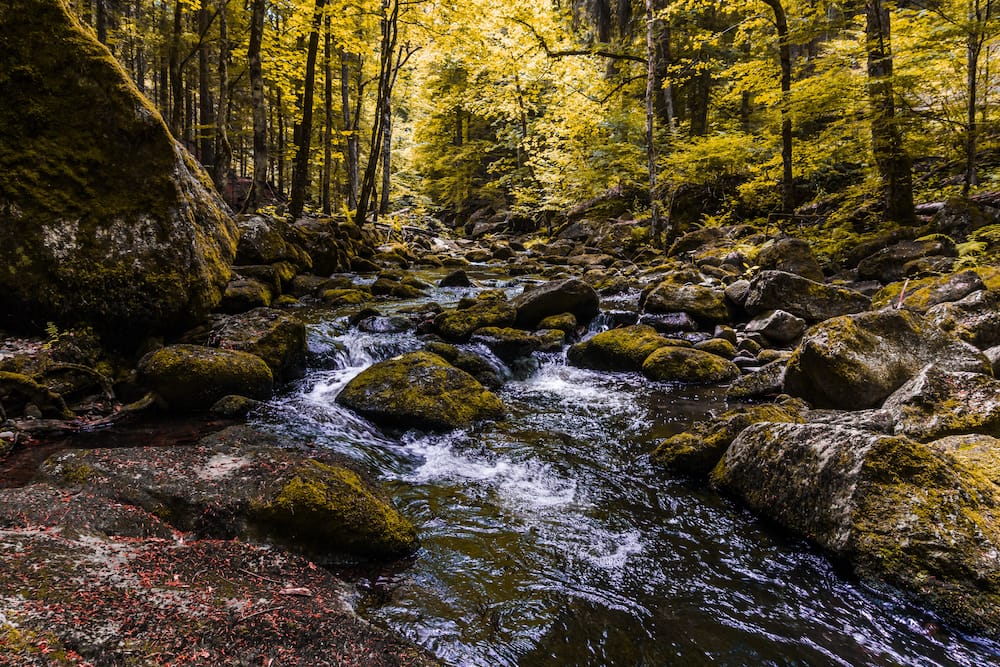 Wanderung in der Buchberger Leite im Bayerischen Wald mit Kindern