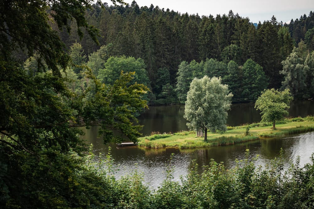 Blick auf den Rannasee im Bayerischen Wald mit Kindern