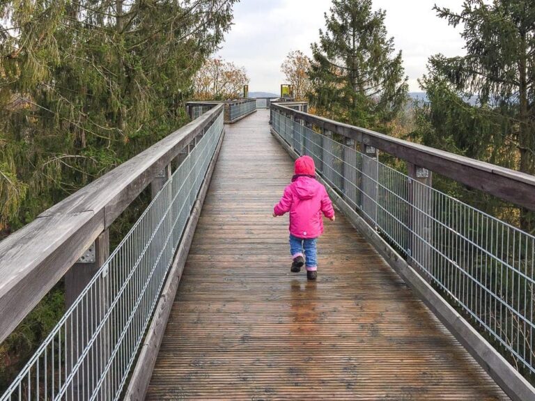 Panarbora Waldbröl Baumwipfelpfad NRW
