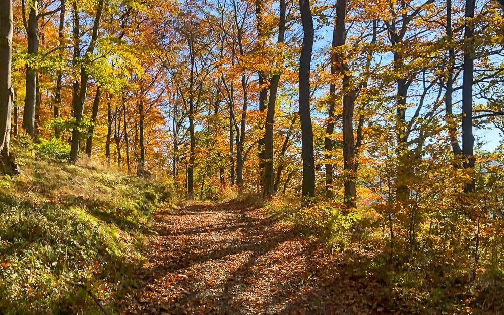 Spaziergang im Herbsturlaub