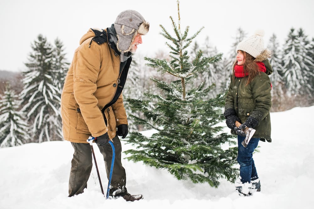 Weihnachtsausflug mit Kinder zum Tannenbaum selbst schlagen