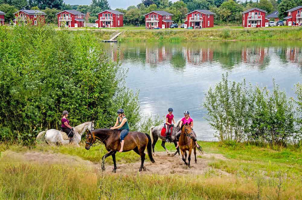 Pferde im Geesthof Ferienpark in Deutschland