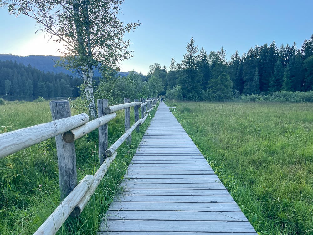 Bohlenweg am Schwarzsee