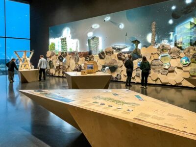 Die besten Kindermuseen Berlin Ausstellungen für Familien