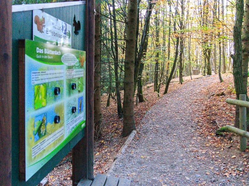 Naturerlebnispfad Berg Kappe im Sauerland mit Kindern