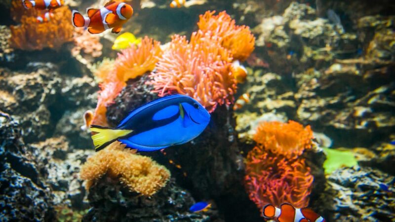 SEA LIFE Speyer SEA LIFE Speyer